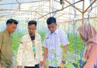 Petani Muda Labuhanbatu Jadi Mitra Program Makan BerGizi, Ekonomi Lokal Bergeliat