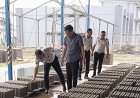 Napi Lapas 1 Tangerang Produksi Bahan Bangunan Hemat