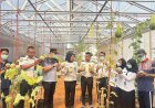 Tak Berhenti di Kegagalan, Lapas Kelas I Tangerang Kembali Uji Coba Budidaya Melon